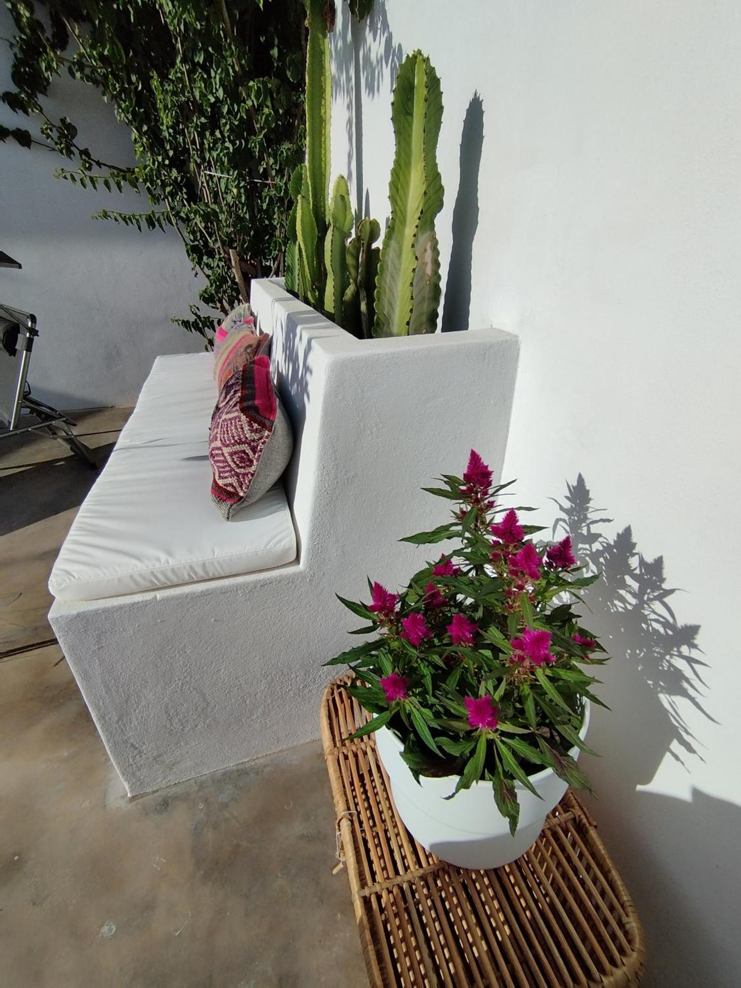 La Alberca Boutique Apartment Ла-Линеа-де-ла-Консепсьон Экстерьер фото